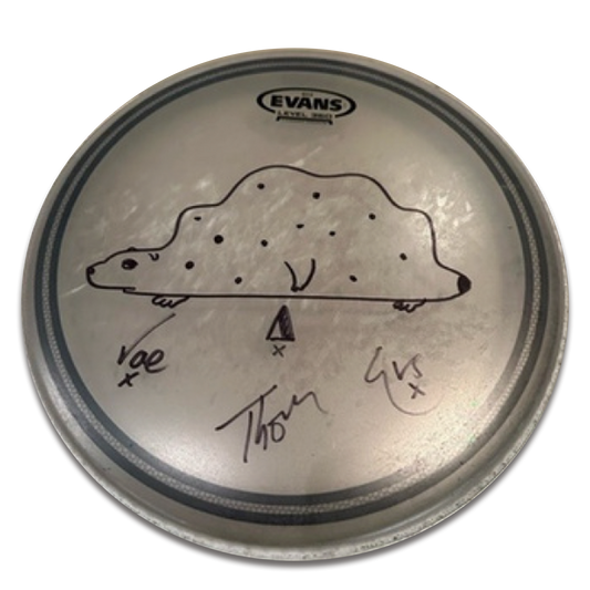Signed Drum Skin